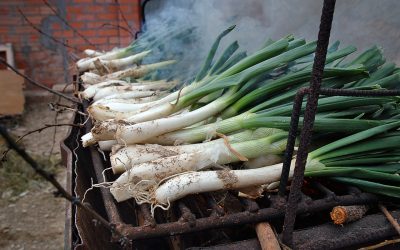 ¡Ya tenemos las Cebollas de Calçot a la venta!